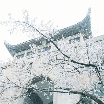 广西区委党校（行政学院）举办2024年全区“国门”党校管理骨干培训班